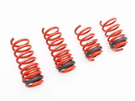 Audi R8 17+ (V10 Only) Lowering Springs - MR-LS-AR817 Online Sale